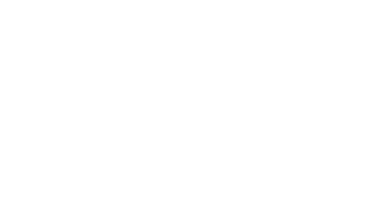 OTTO-OTTO — AI Strategy & Consulting